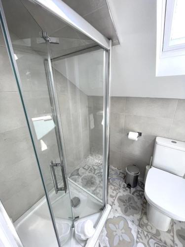 a bathroom with a shower and a toilet at Modern and Accessible in Galway