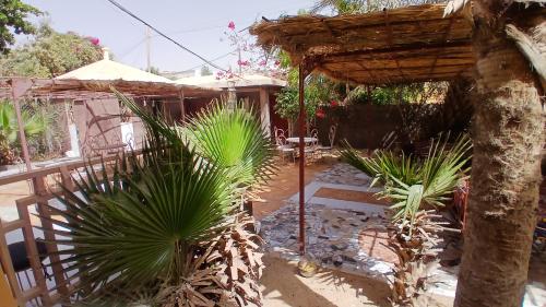 a garden with palm plants and an umbrella at Auberge Triskell in Nouakchott