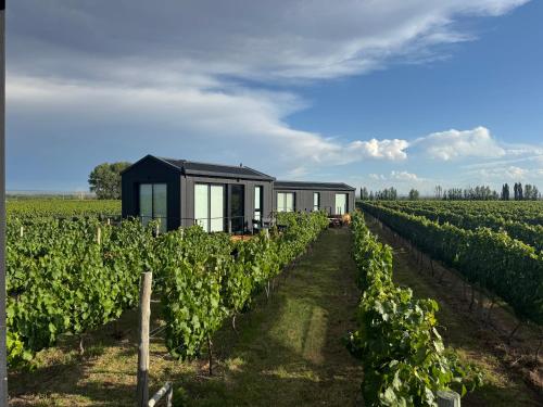 a house in the middle of a vineyard at Finca Boutique Un Buen Año in Tres Esquinas