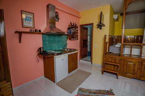 Kuchyň nebo kuchyňský kout v ubytování Symi Garden Studios
