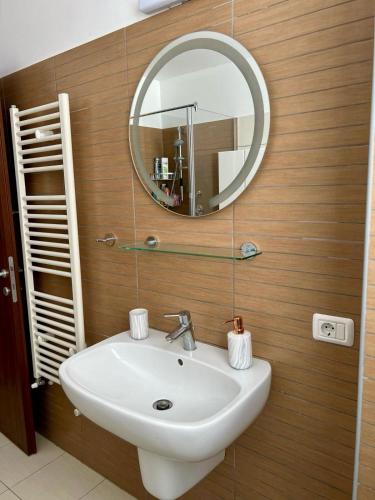 a bathroom with a sink and a mirror at Clabucet View Apartment in Predeal