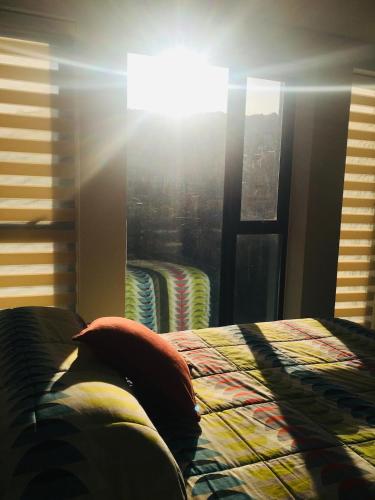 Casita 501
