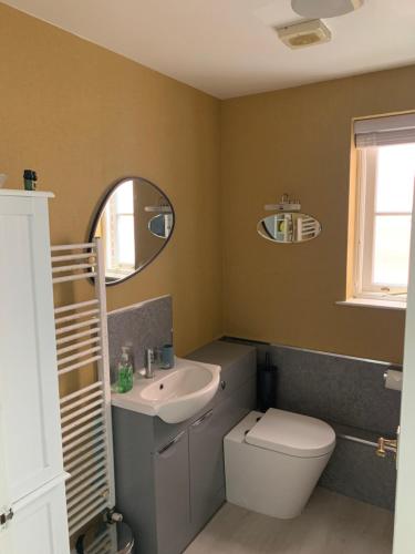 a bathroom with a sink and a toilet and a mirror at Glastonbury town centre modern apartment in Glastonbury