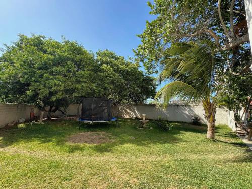 a backyard with a chair in the grass at Hotel El Perico Marinero in Río Lagartos
