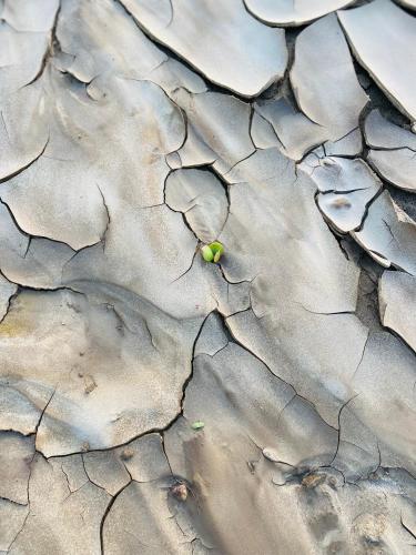 Φωτογραφία από το άλμπουμ του Sandseed σε Swakopmund