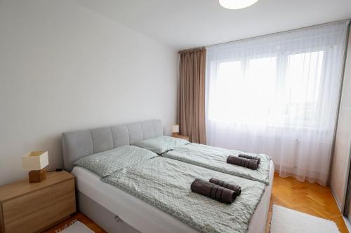 a bedroom with a bed and a large window at Panorama Residence - Samorin near X-Bionic sphere in Šamorín
