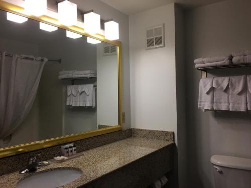 a bathroom with a sink and a mirror at Country Inn & Suites by Radisson, Camp Springs Andrews Air Force Base , MD in Camp Springs