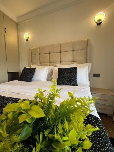 a bedroom with a large bed with green plants at Urban Host Pro in Nairobi