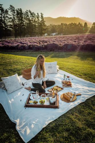 a woman sitting on a picnic blanket with food on it at Lavender Farm Boutique Guest House in Franschhoek