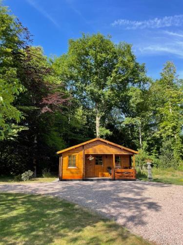 a small wooden cabin in the middle of a forest at Het Horste Huisje in Enschede