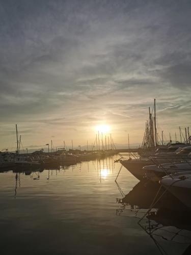 a group of boats docked in a marina at sunset at Charmant 2 pièces proche centre ville et mer in Saint-Raphaël