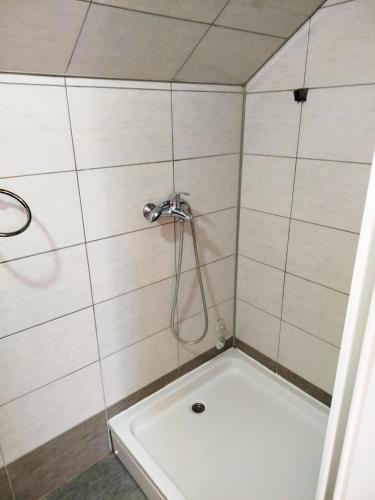 a shower in a bathroom with a shower head at Privatan smeštaj Velić in Donji Milanovac