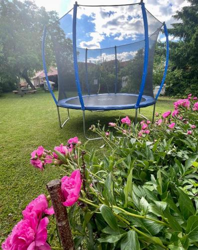 a blue swing in a garden with pink flowers at ARANY13 Apartmanház - Mówimy po polsku! in Bogács