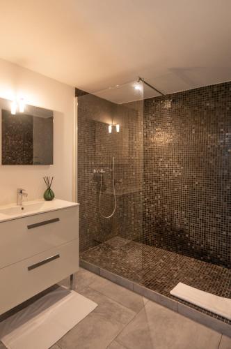 a bathroom with a shower and a sink at Appartement Stintinu - Tarra Zuria in Bonifacio