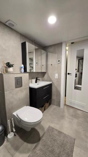 a bathroom with a toilet and a sink at BlueLoft Kaunas in Kaunas