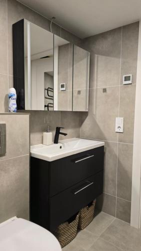 a bathroom with a sink and a mirror at BlueLoft Kaunas in Kaunas