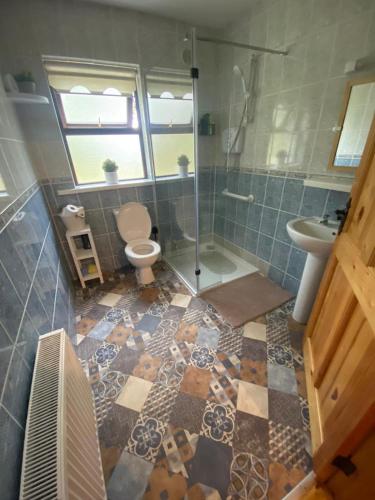 OulartにあるHome in Oulart, Wexfordのシャワー、トイレ、洗面台を備えたバスルーム