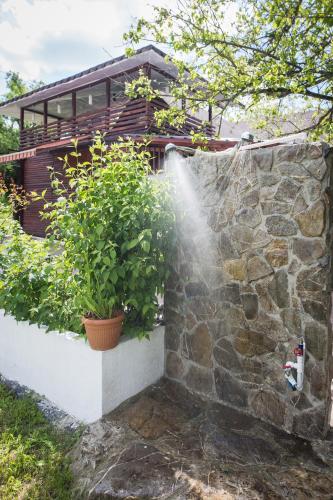 Taman di luar Casa Zen Bruznic