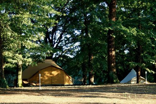 a tent in a field next to some trees at OAK Glamping Relax in Manziana