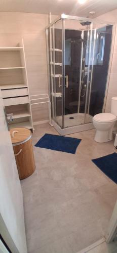 La salle de bains est pourvue d'une douche, de toilettes et de tapis bleus. dans l'établissement L'Hôtel Coutances - Chambre d'Hôtes, à Fleury