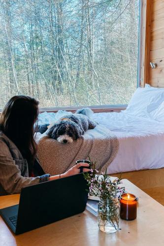 Una cama o camas en una habitación de Postcard Cabins Machimoodus