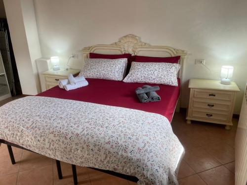 une chambre avec un grand lit avec deux tables de nuit dans l'établissement Casa Carolina, à Montagna in Valtellina