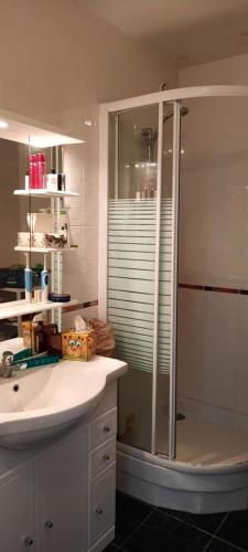 une salle de bain avec douche et lavabo dans l'établissement Océan, à Les Sables-dʼOlonne