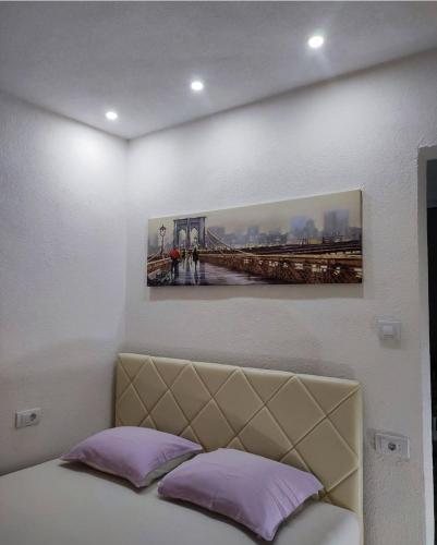 a bedroom with a bed with a picture on the wall at Vila Ideal New in Donji Štoj