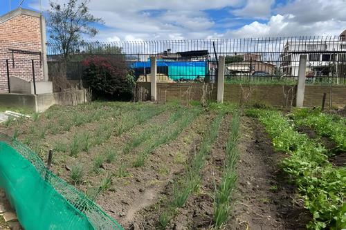 Finca Moraliaにある庭