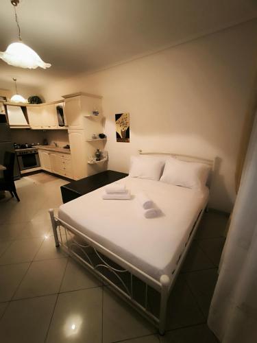Areti House
