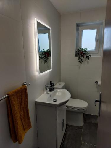 a bathroom with a sink and a toilet and two windows at Apartment Tulip in Premantura