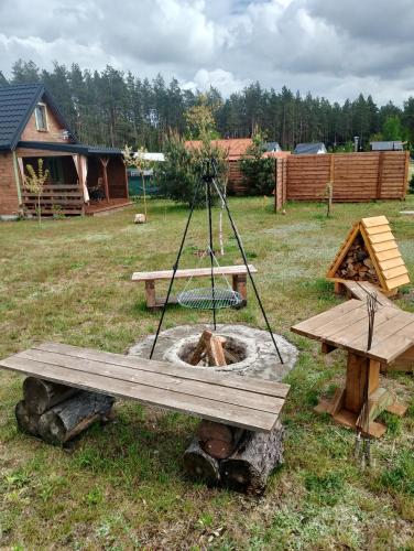 a picnic table and a fire pit in a yard at Domek pod czerwonym Dębem in Stare Kiejkuty