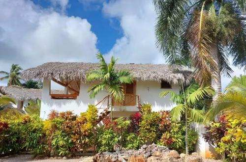 Zahrada ubytování Villa Las Palmeras con piscina en Las Galeras