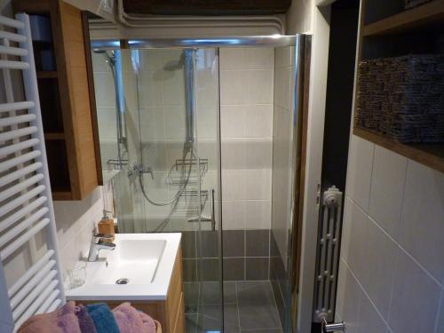 a bathroom with a shower and a sink at La maison d'à côté in Montigny-sur-Loing
