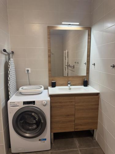 une salle de bain avec une machine à laver et un lavabo dans l'établissement O'petit nid sauge T2 45m place de parking, à Aix-les-Bains