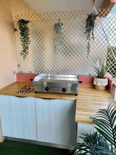 une cuisine avec un grill sur un comptoir orné de plantes dans l'établissement Superbe appartement 5min de la plage, à Vallauris