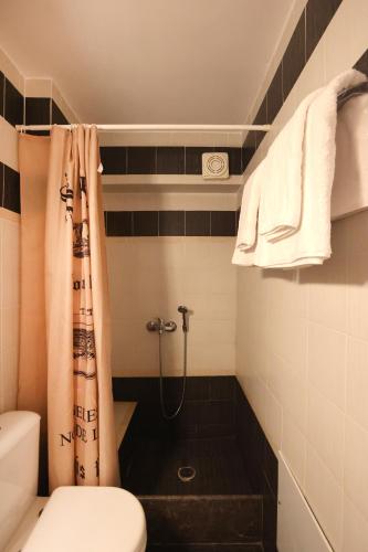 a small bathroom with a toilet and a shower at Terra Olivae Syros in Ermoupoli