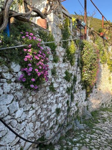a stone wall with pink flowers on it at Ana & Angelo House Vuno Himare in Vuno