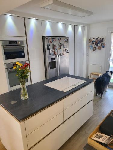 une cuisine avec un comptoir avec un chien en arrière-plan dans l'établissement Maison standing avec piscine 3 chambres, à Lattes