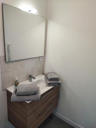 une salle de bain avec un lavabo et un miroir dans l'établissement Le cocon, à Bréal-sous-Montfort