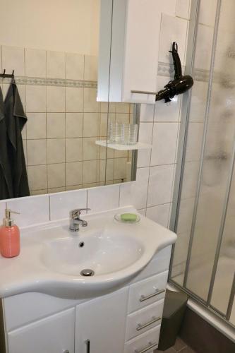 a bathroom with a sink and a shower at Ferienwohnung Apartment am Klosterhof Aschersleben in Aschersleben