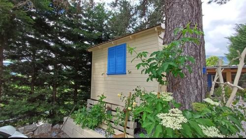 a small house with a blue window next to a tree at mobile house on a herbs farm in Ajdovščina