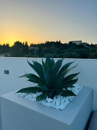Fotografie z fotogalerie ubytování LUZ BLANCA Rooftop seaview villa v destinaci Agios Leon
