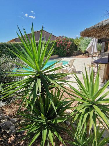 Villa avec grande piscine