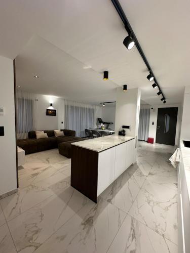 un salon avec une cuisine et un salon avec un canapé dans l'établissement Villa belle rive RdC, à Sévrier