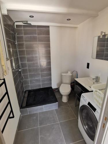 une salle de bain avec une douche avec des toilettes et un lavabo dans l'établissement Villa avec grande piscine, à Nissan-lez-Enserune