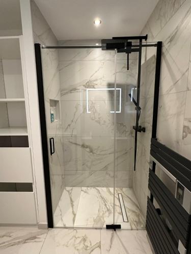 une douche avec une porte vitrée dans une salle de bain dans l'établissement Villa belle rive RdC, à Sévrier