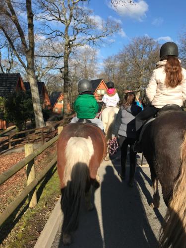 a group of people riding horses down a path at Tor View Lodge with Hot Tub & Sauna - Spa Resort - South Devon in Chudleigh Knighton
