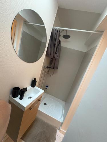 une salle de bain avec un lavabo et un miroir dans l'établissement Les Allées du Parc, à Rosoy