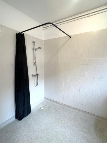 d'une salle de bains privative avec douche. dans l'établissement Studio en rdc - hyper centre Dol de Bretagne, à Dol-de-Bretagne